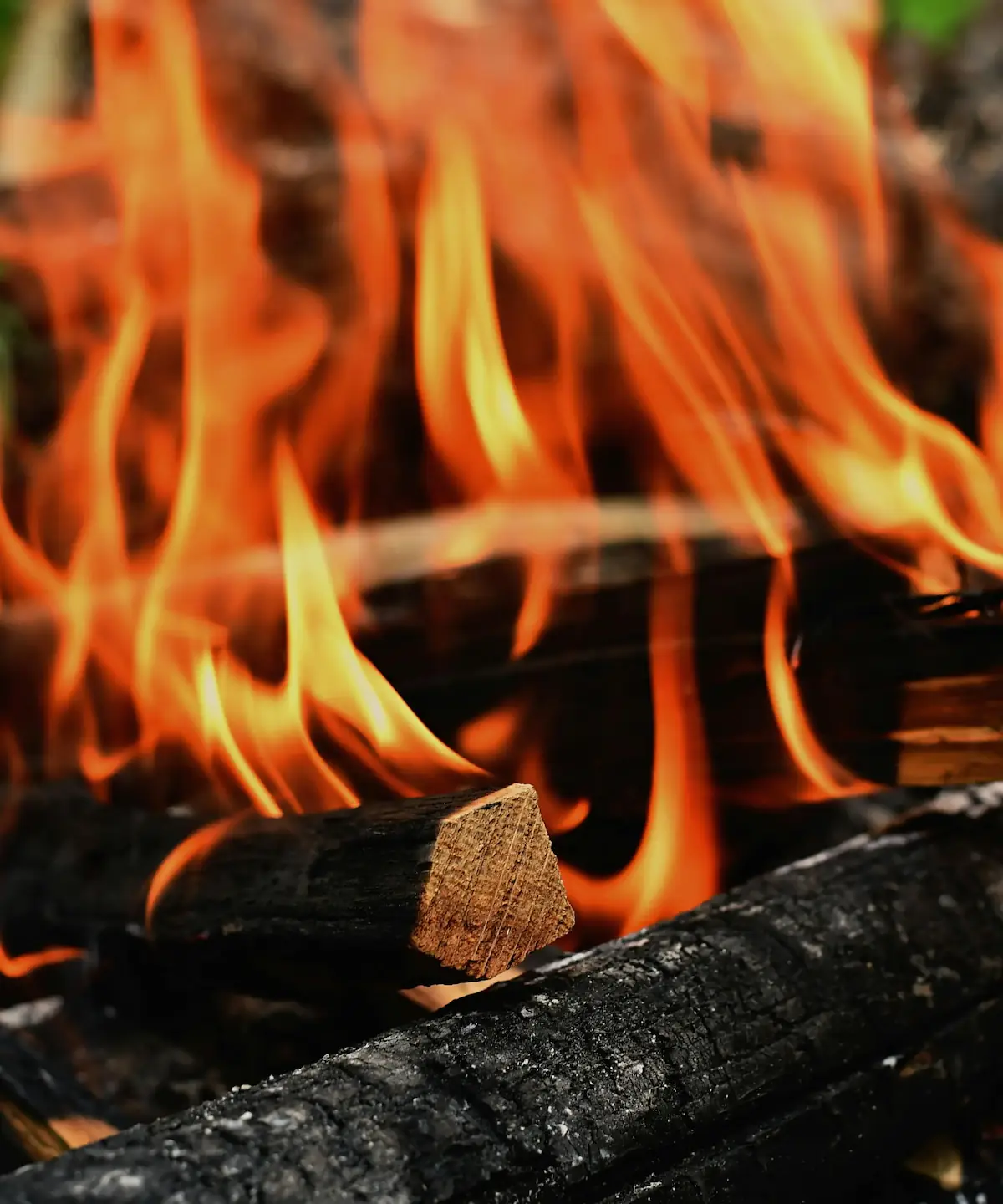 Feu de bois pour méchoui - science de la cuisson au bois